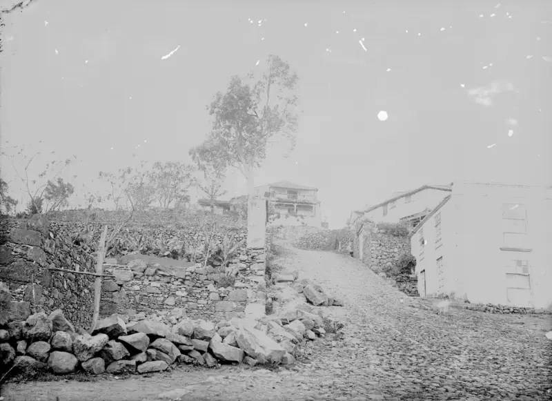 Casa Ortega - Los Sauces